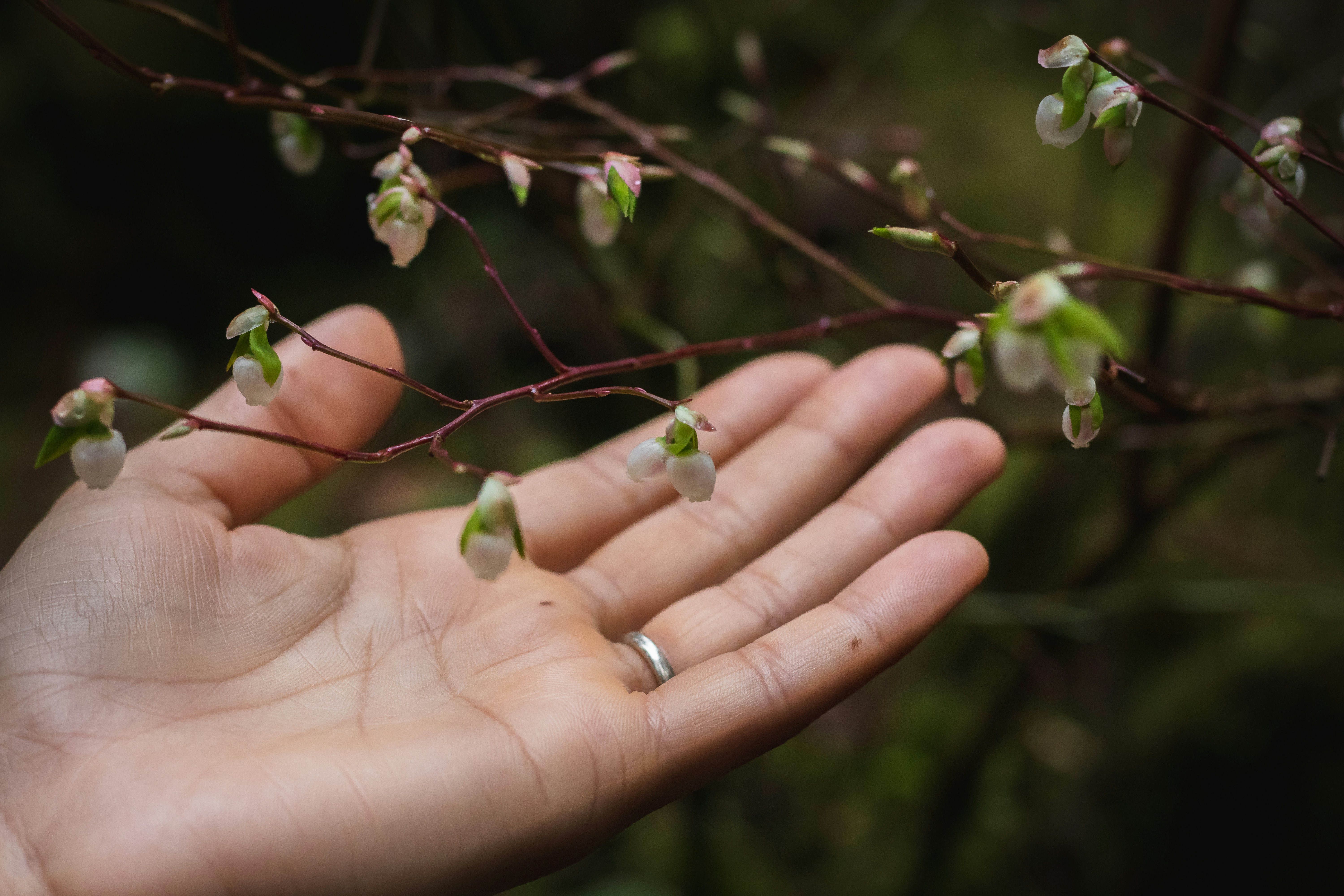 Tiny Scratches, Big Stories: Living with Silver Jewelry